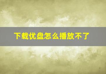 下载优盘怎么播放不了