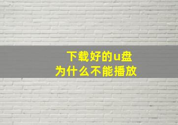 下载好的u盘为什么不能播放