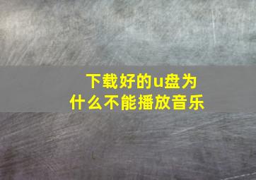 下载好的u盘为什么不能播放音乐