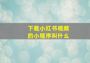 下载小红书视频的小程序叫什么