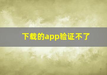 下载的app验证不了