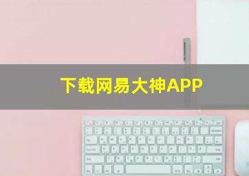 下载网易大神APP