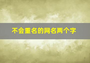 不会重名的网名两个字