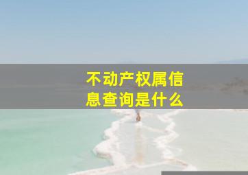 不动产权属信息查询是什么