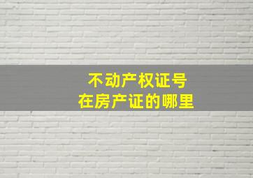 不动产权证号在房产证的哪里