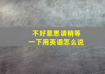 不好意思请稍等一下用英语怎么说