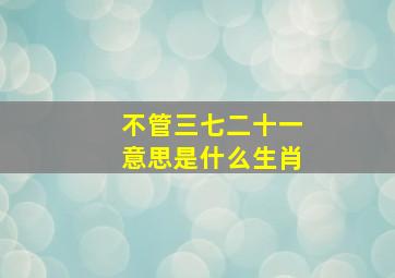 不管三七二十一意思是什么生肖