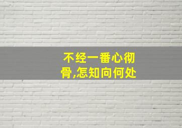 不经一番心彻骨,怎知向何处