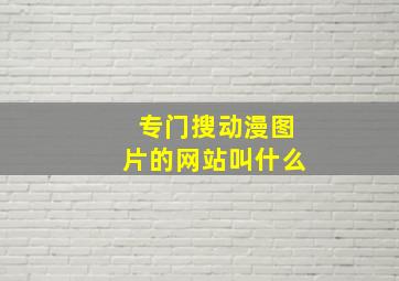 专门搜动漫图片的网站叫什么