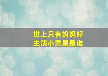 世上只有妈妈好主演小男星是谁