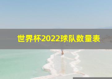 世界杯2022球队数量表