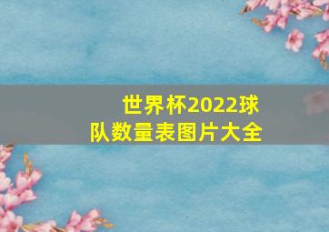 世界杯2022球队数量表图片大全