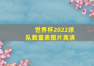 世界杯2022球队数量表图片高清