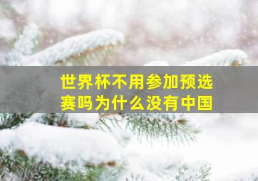 世界杯不用参加预选赛吗为什么没有中国