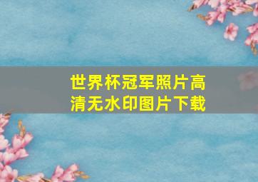 世界杯冠军照片高清无水印图片下载