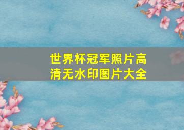 世界杯冠军照片高清无水印图片大全