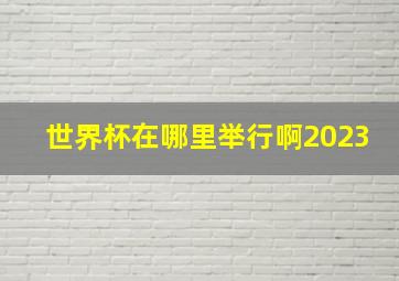 世界杯在哪里举行啊2023