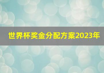 世界杯奖金分配方案2023年