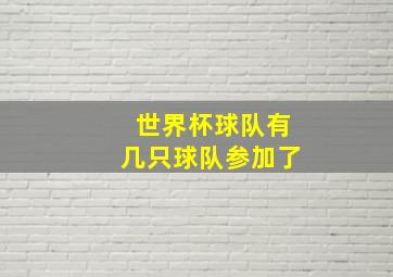 世界杯球队有几只球队参加了