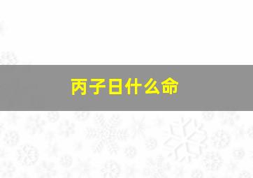 丙子日什么命