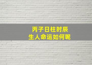 丙子日柱时辰生人命运如何呢