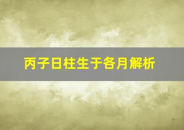 丙子日柱生于各月解析