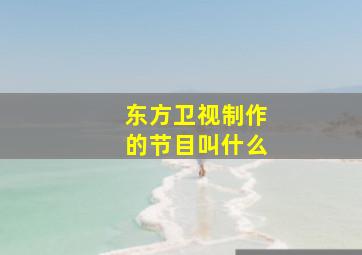 东方卫视制作的节目叫什么