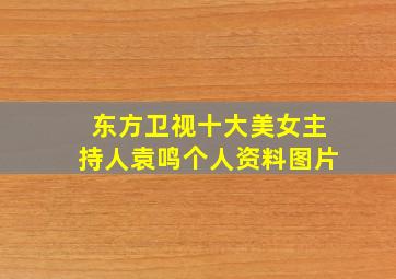 东方卫视十大美女主持人袁鸣个人资料图片