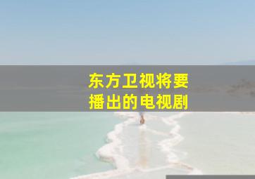 东方卫视将要播出的电视剧