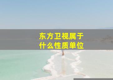 东方卫视属于什么性质单位