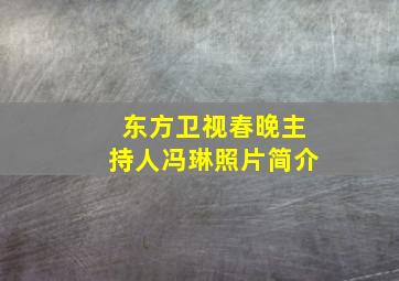 东方卫视春晚主持人冯琳照片简介