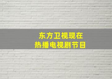 东方卫视现在热播电视剧节目