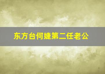 东方台何婕第二任老公