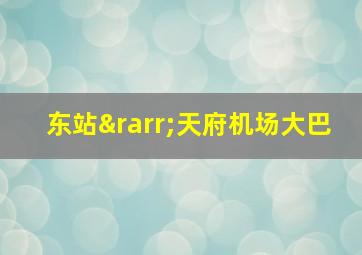 东站→天府机场大巴