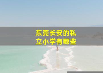 东莞长安的私立小学有哪些