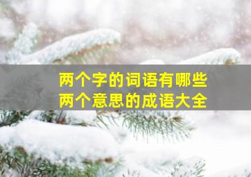 两个字的词语有哪些两个意思的成语大全