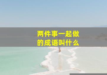 两件事一起做的成语叫什么