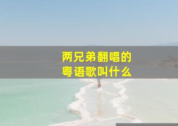 两兄弟翻唱的粤语歌叫什么