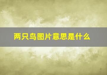 两只鸟图片意思是什么