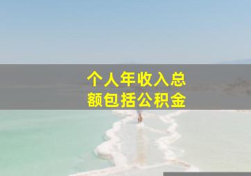 个人年收入总额包括公积金