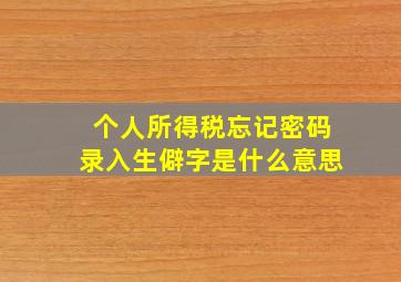 个人所得税忘记密码录入生僻字是什么意思