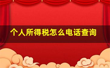 个人所得税怎么电话查询