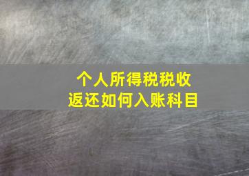 个人所得税税收返还如何入账科目