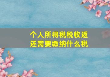 个人所得税税收返还需要缴纳什么税