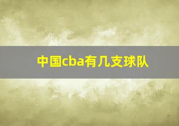 中国cba有几支球队