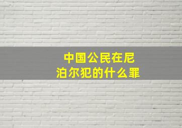 中国公民在尼泊尔犯的什么罪