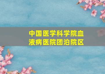 中国医学科学院血液病医院团泊院区