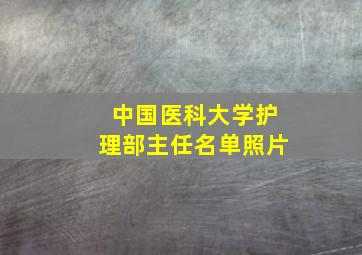 中国医科大学护理部主任名单照片