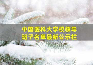 中国医科大学校领导班子名单最新公示栏