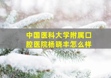 中国医科大学附属口腔医院杨晓丰怎么样